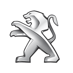 Reparo Peugeot